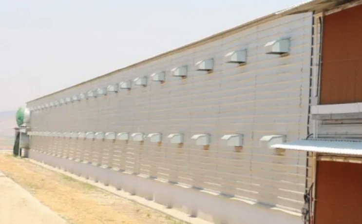 Большой металлический курятник с высоким подъемом