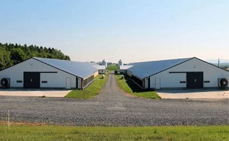 Строительство Здание Птицеферма