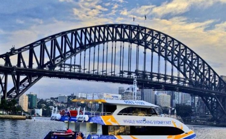 Арочный Стальной Конструкционный Сборный Мост